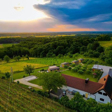 Vinea Panonika Wine & Mind Retreat Villa Раденци Екстериор снимка