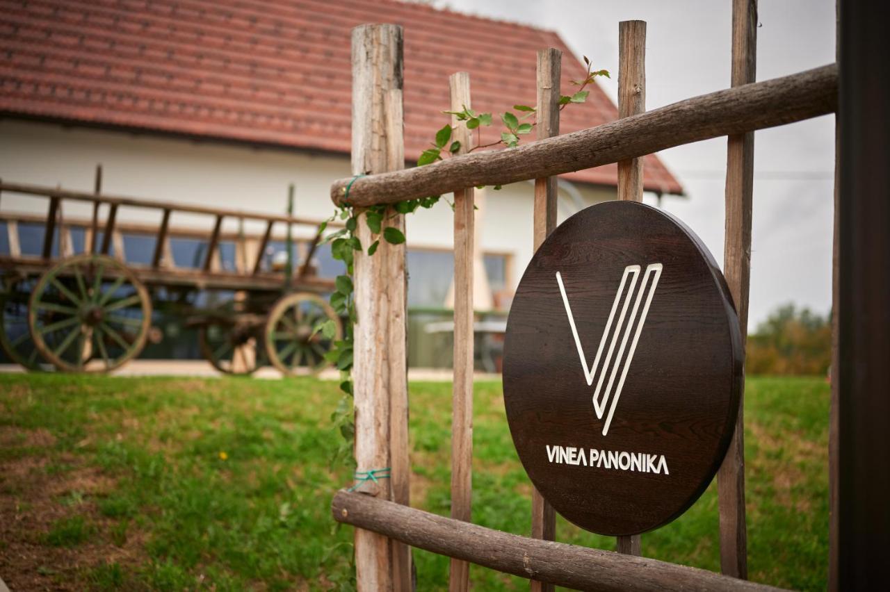 Vinea Panonika Wine & Mind Retreat Villa Раденци Екстериор снимка