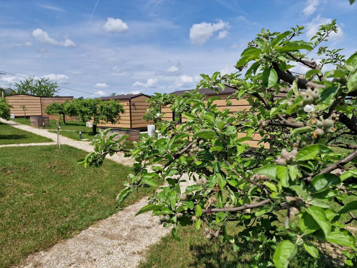 Vinea Panonika Wine & Mind Retreat Villa Раденци Екстериор снимка